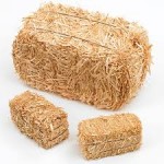 SEL Lesson: Needle In A Haystack